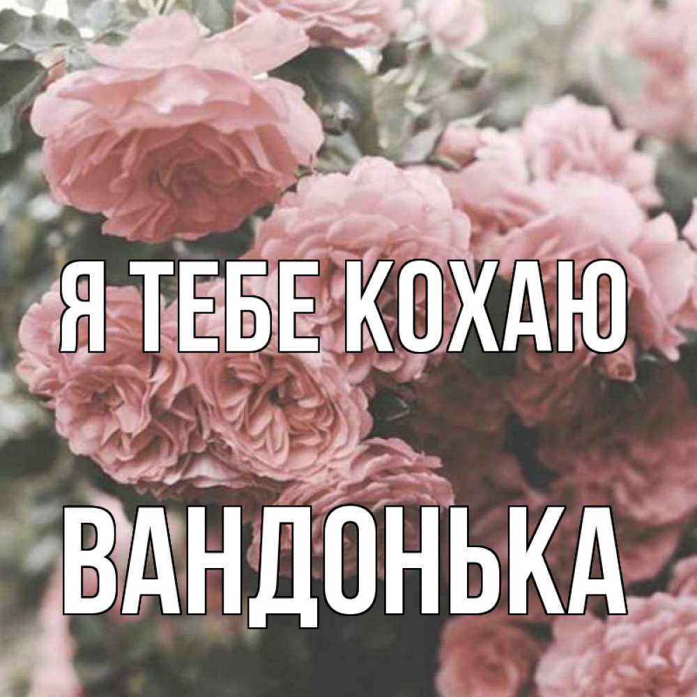 Открытка на каждый день з підписом, Вандонька Я тебе кохаю розы 3 Прикольна листівка з побажанням онлайн скачати безкоштовно 