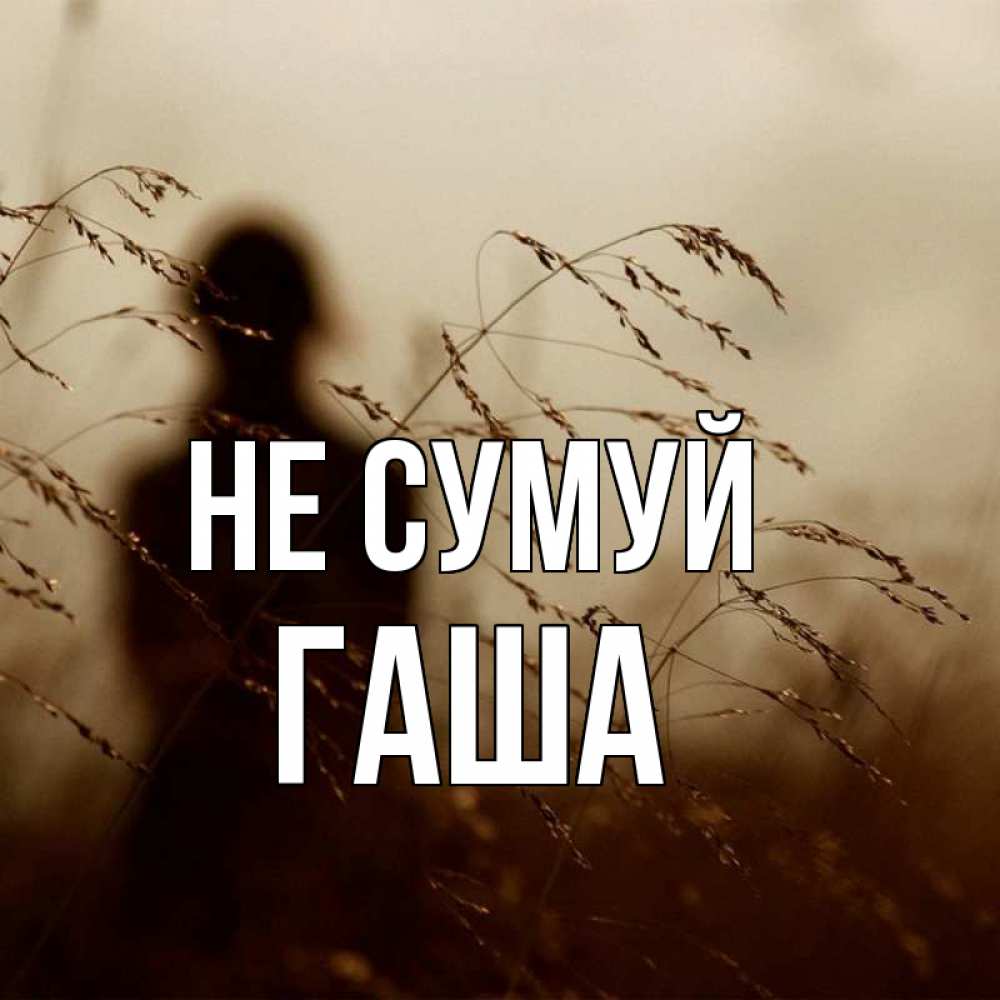 Открытка на каждый день з підписом, Гаша Не сумуй грусть Прикольна листівка з побажанням онлайн скачати безкоштовно 