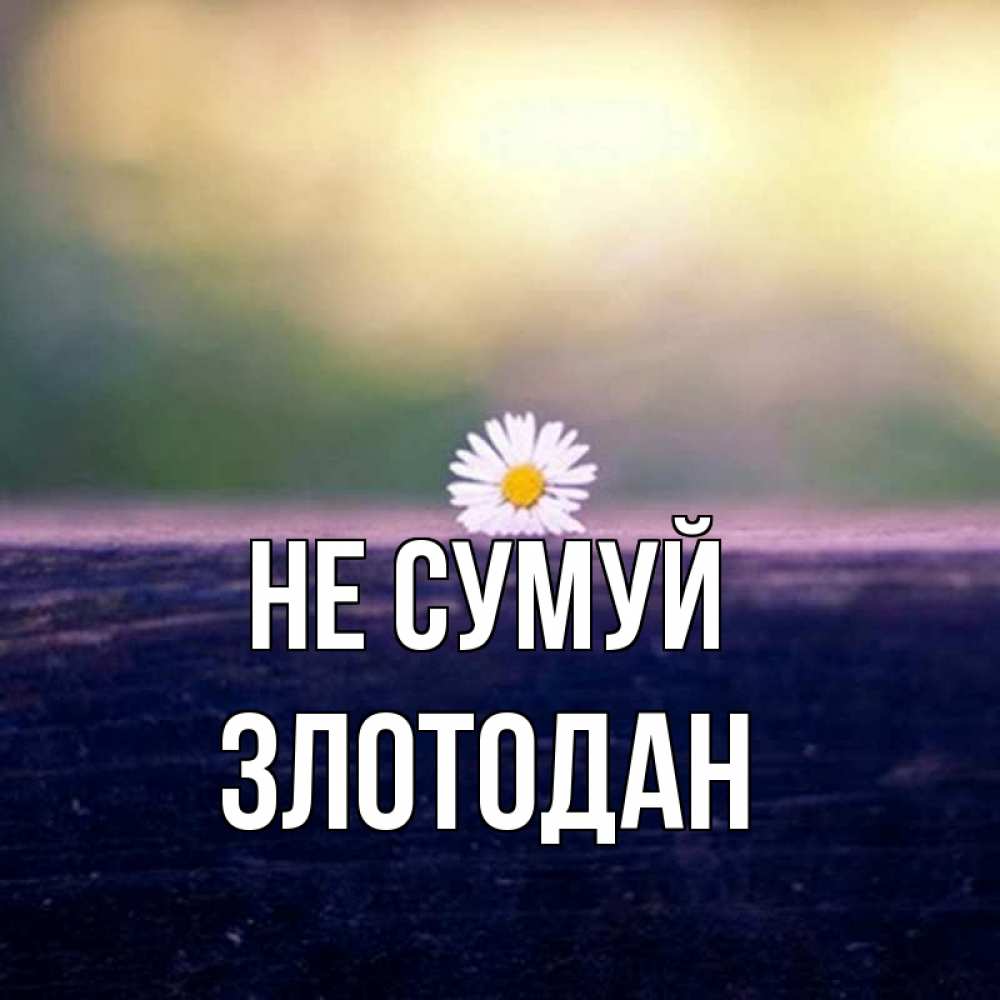 Открытка на каждый день з підписом, Злотодан Не сумуй красота Прикольна листівка з побажанням онлайн скачати безкоштовно 