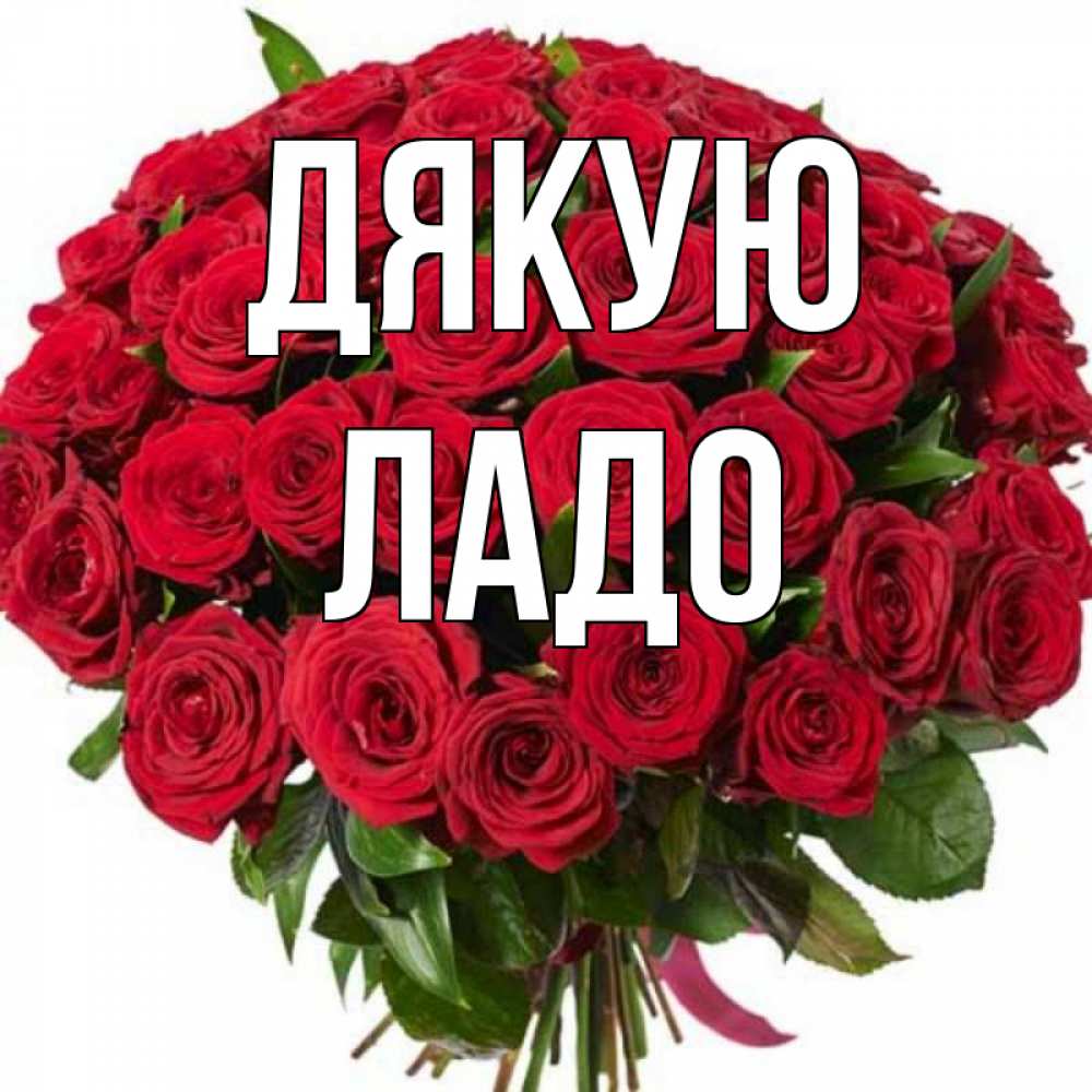 Открытка на каждый день з підписом, Ладо Дякую букет красных роз Прикольна листівка з побажанням онлайн скачати безкоштовно 