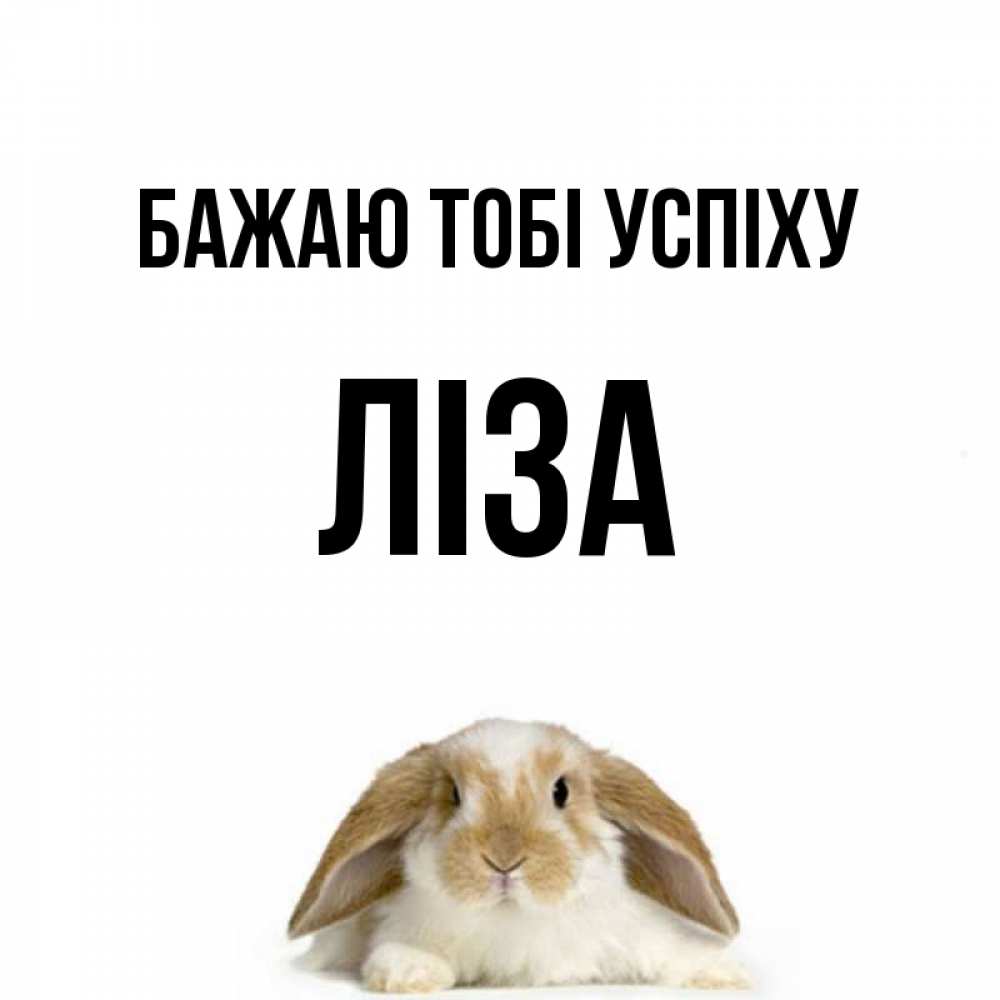 Открытка на каждый день з підписом, Ліза Бажаю тобі успіху открытки с произвольным текстом который можно вставить в открытку и создать ее самостоятельно бесплатно онлайн Прикольна листівка з побажанням онлайн скачати безкоштовно 