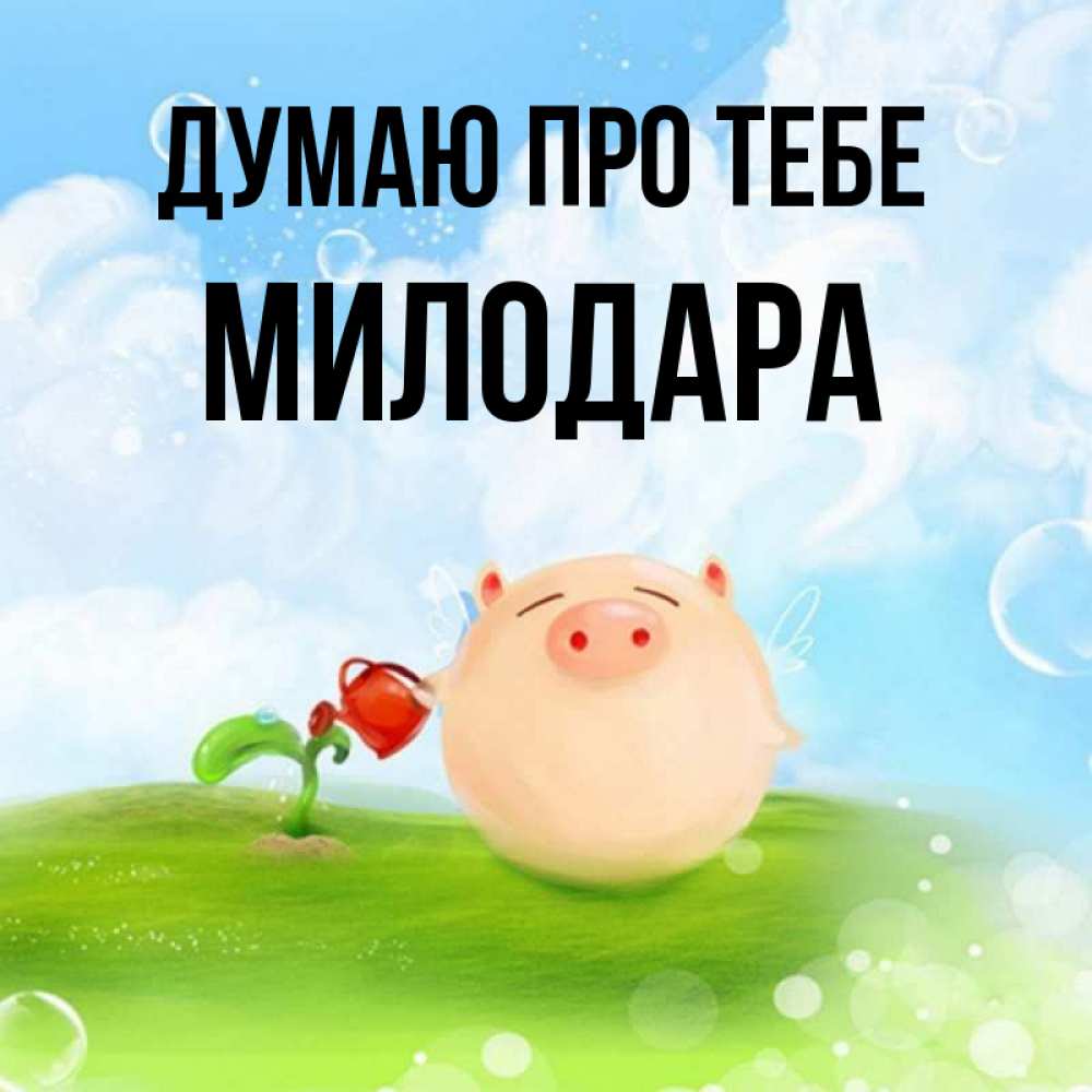 Открытка на каждый день з підписом, Милодара Думаю про тебе позитивная свинюшка Прикольна листівка з побажанням онлайн скачати безкоштовно 