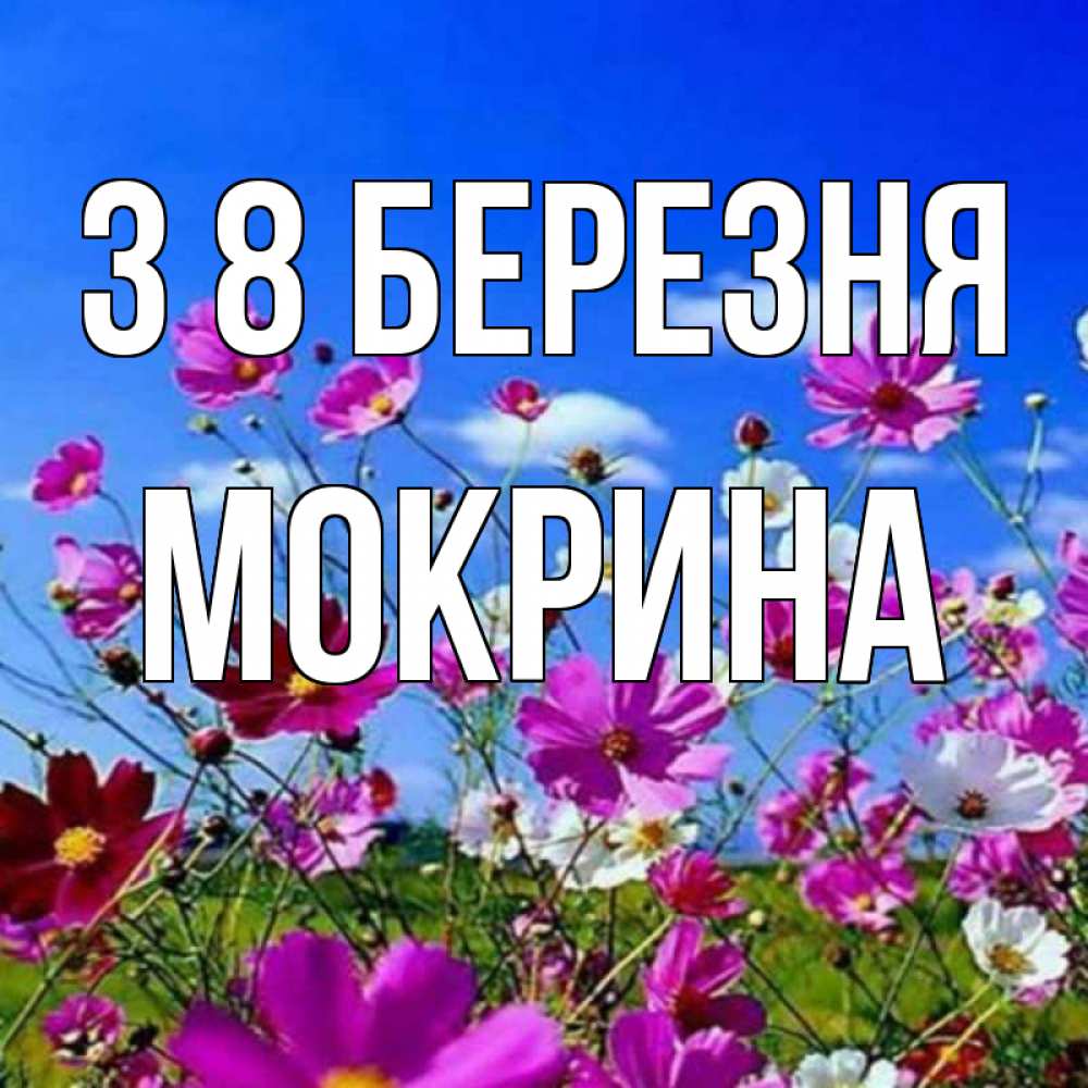 Открытка на каждый день з підписом, Мокрина З 8 БЕРЕЗНЯ цветы Прикольна листівка з побажанням онлайн скачати безкоштовно 