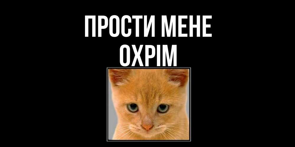 Открытка на каждый день з підписом, Охрім Прости мене рыжий грустный кот просит прощения Прикольна листівка з побажанням онлайн скачати безкоштовно 