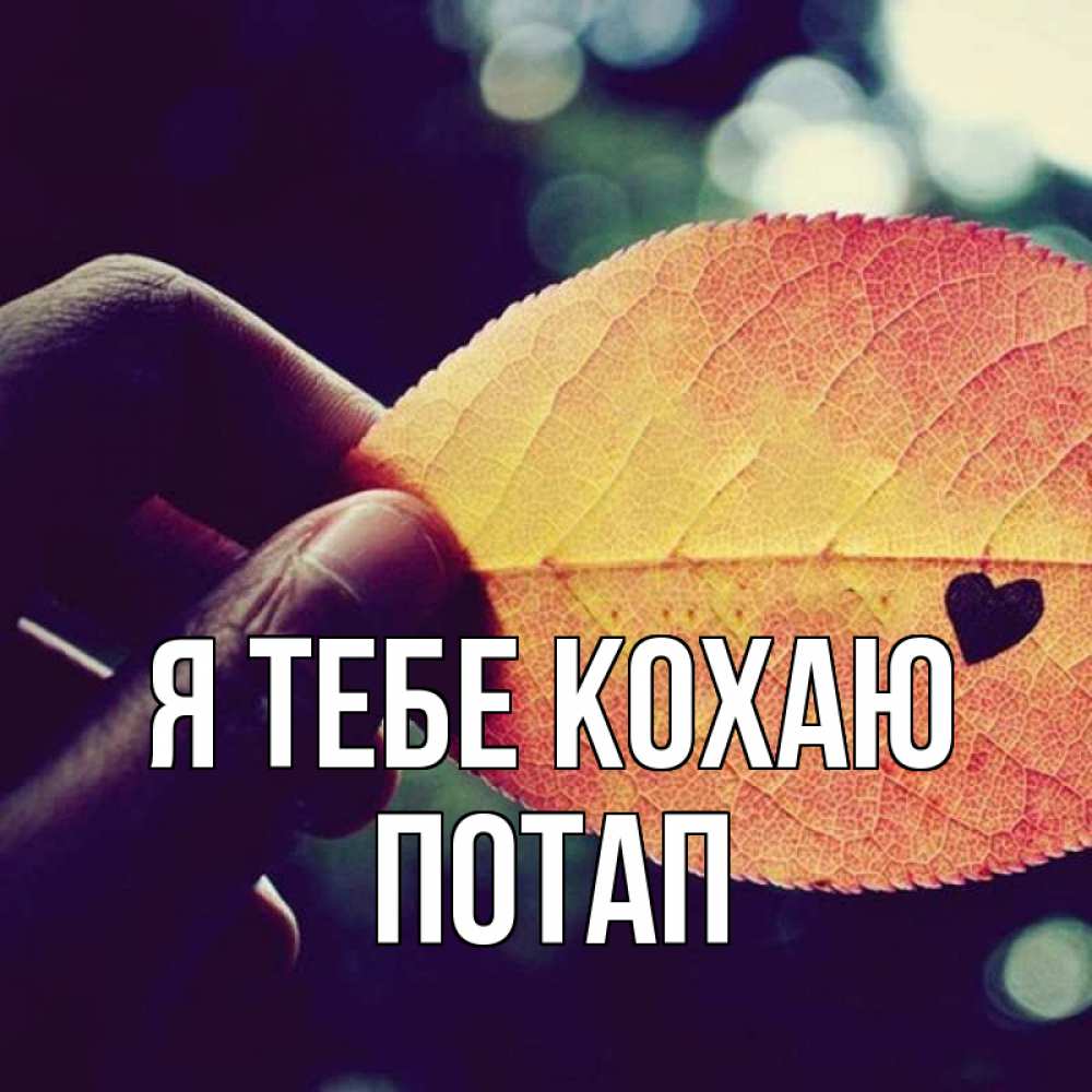 Открытка на каждый день з підписом, Потап Я тебе кохаю держу лист Прикольна листівка з побажанням онлайн скачати безкоштовно 