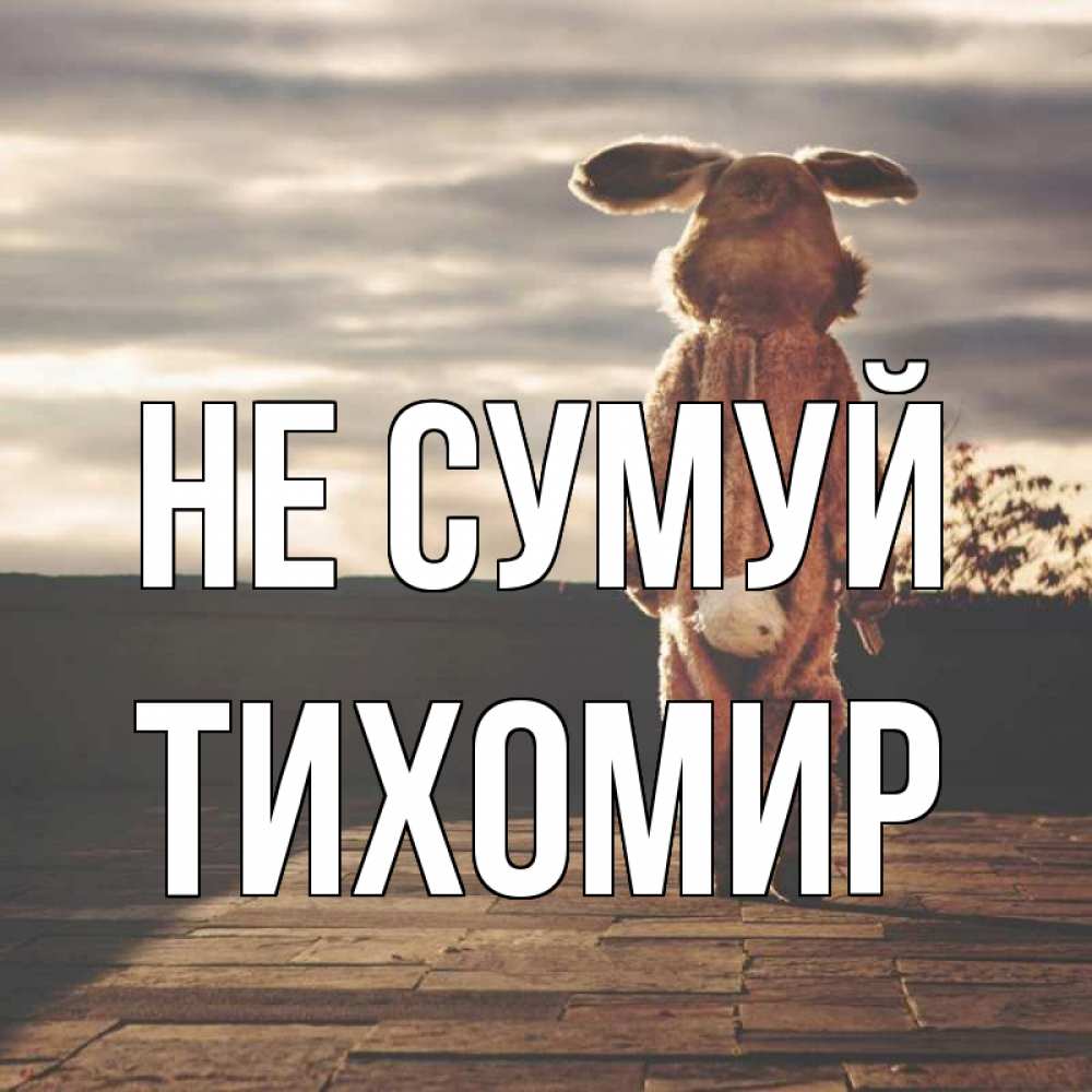 Открытка на каждый день з підписом, Тихомир Не сумуй со спины Прикольна листівка з побажанням онлайн скачати безкоштовно 