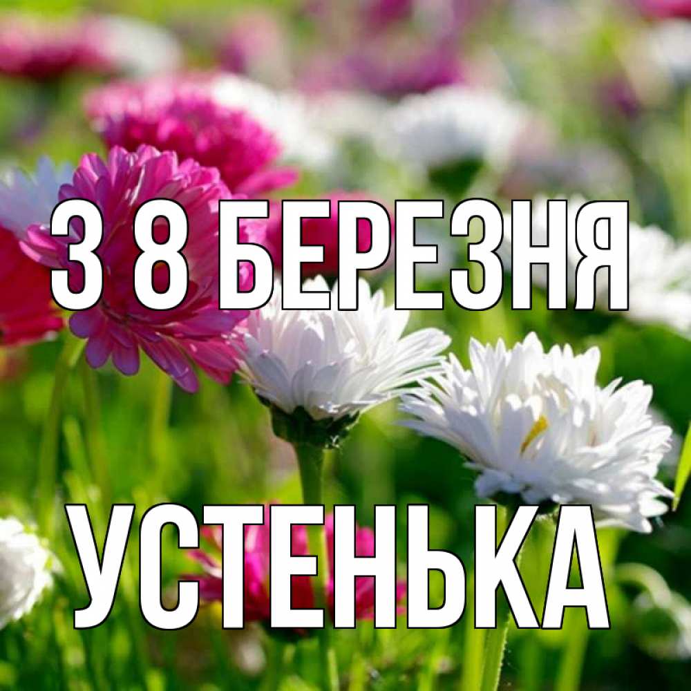 Открытка на каждый день з підписом, Устенька З 8 БЕРЕЗНЯ международный женский день 1 Прикольна листівка з побажанням онлайн скачати безкоштовно 