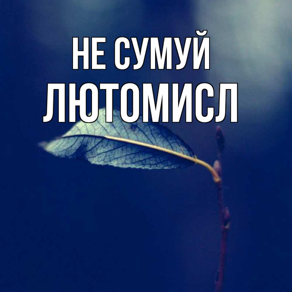 Открытка на каждый день з підписом, Лютомисл Не сумуй растение Прикольна листівка з побажанням онлайн скачати безкоштовно 