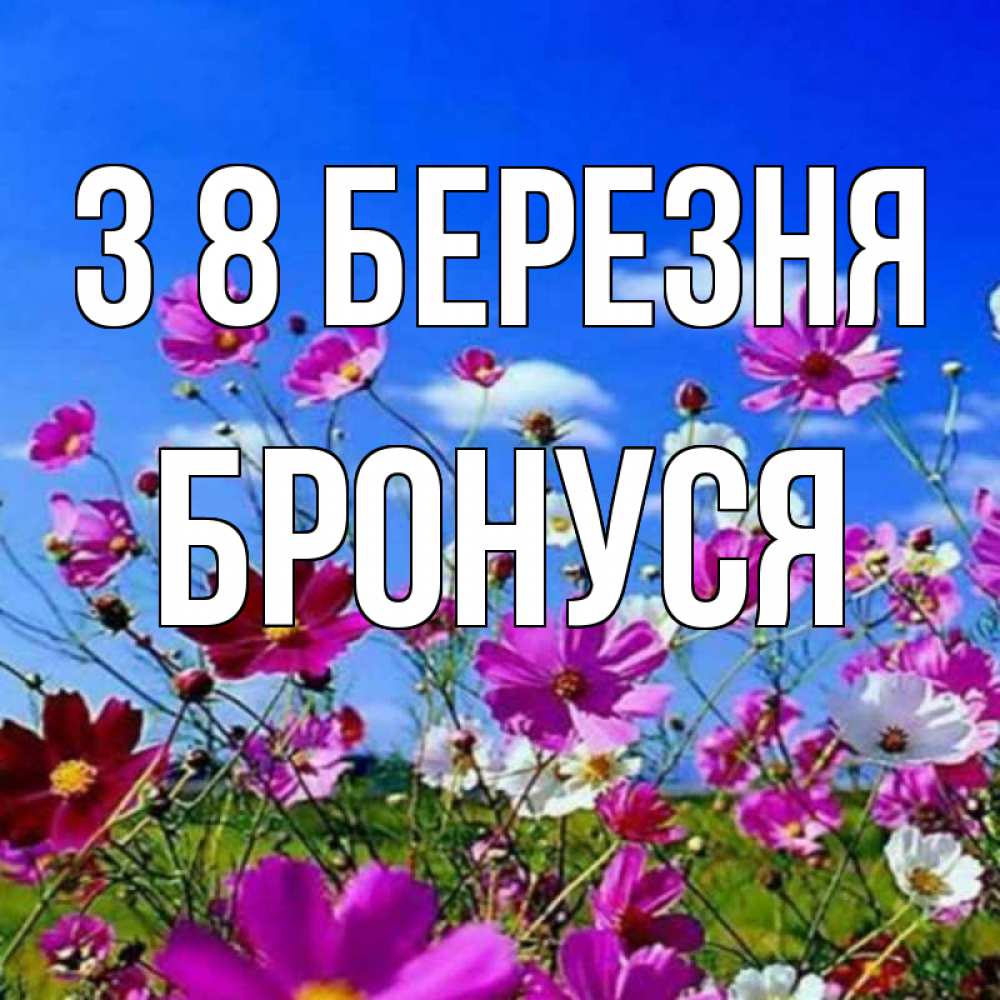 Открытка на каждый день з підписом, Бронуся З 8 БЕРЕЗНЯ цветы Прикольна листівка з побажанням онлайн скачати безкоштовно 
