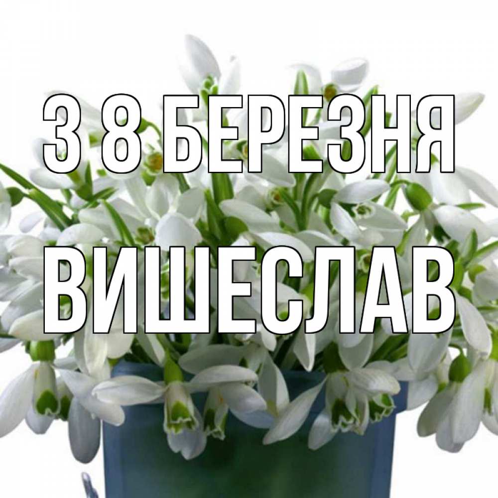 Открытка на каждый день з підписом, Вишеслав З 8 БЕРЕЗНЯ цветы к международному женскому дню Прикольна листівка з побажанням онлайн скачати безкоштовно 