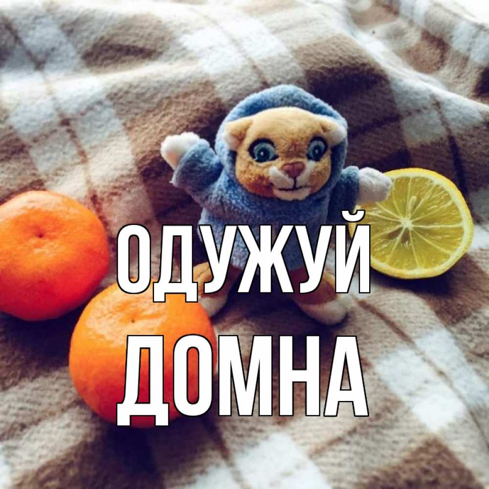 Открытка на каждый день з підписом, Домна Одужуй вот тебе апельсинка и лимон Прикольна листівка з побажанням онлайн скачати безкоштовно 