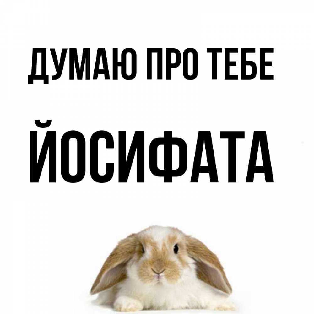Открытка на каждый день з підписом, Йосифата Думаю про тебе подписать своими руками онлайн Прикольна листівка з побажанням онлайн скачати безкоштовно 