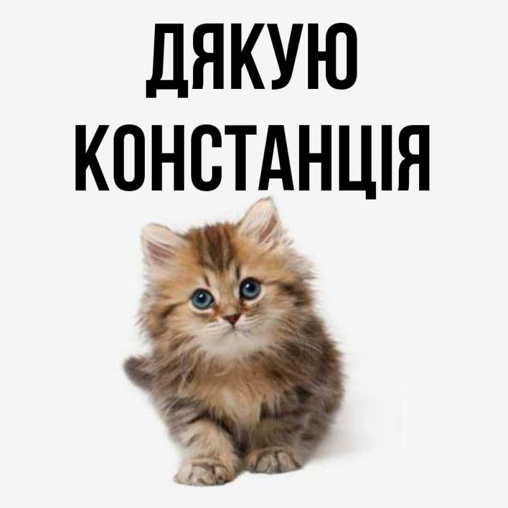 Открытка на каждый день з підписом, Констанція Дякую пушистый котик Прикольна листівка з побажанням онлайн скачати безкоштовно 