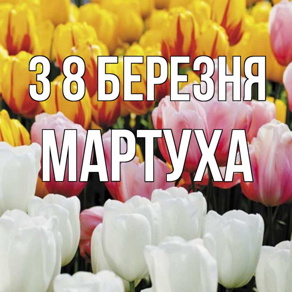 Открытка на каждый день з підписом, Мартуха З 8 БЕРЕЗНЯ разноцветные цветы Прикольна листівка з побажанням онлайн скачати безкоштовно 