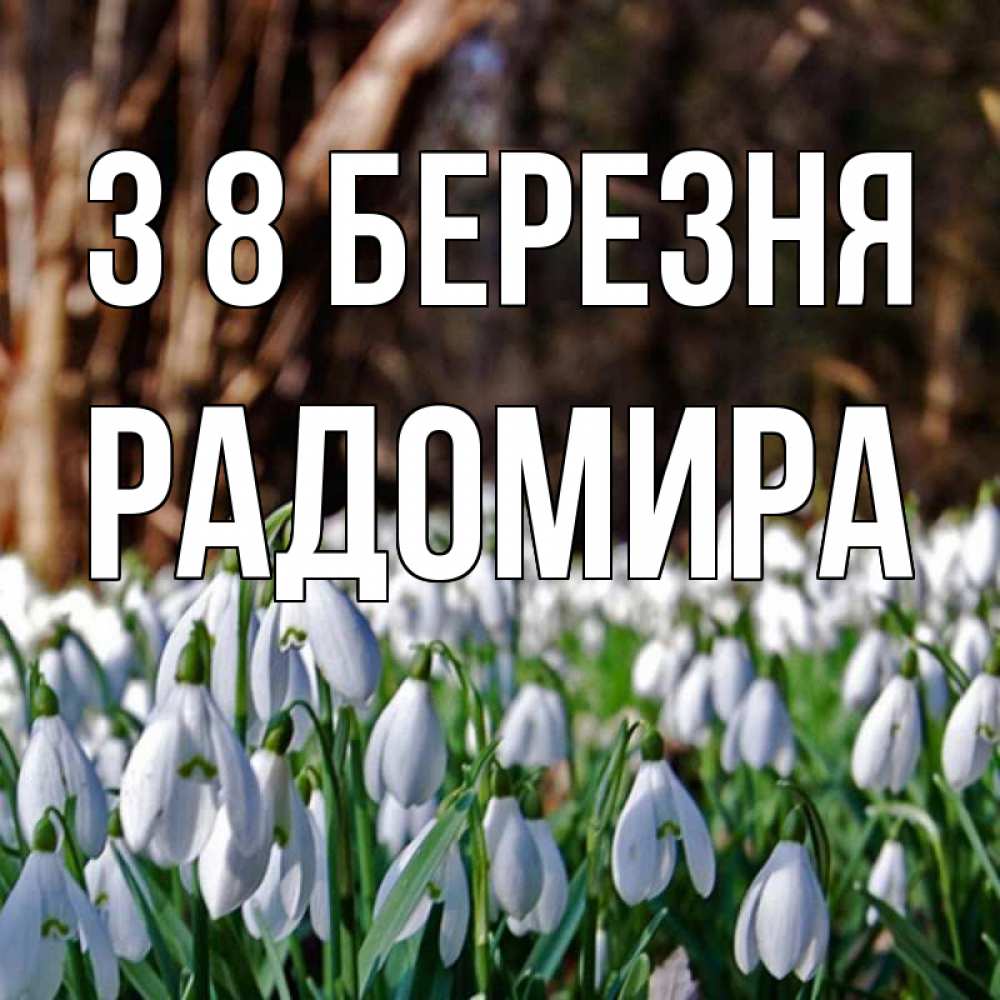 Открытка на каждый день з підписом, Радомира З 8 БЕРЕЗНЯ с подснежниками 1 Прикольна листівка з побажанням онлайн скачати безкоштовно 