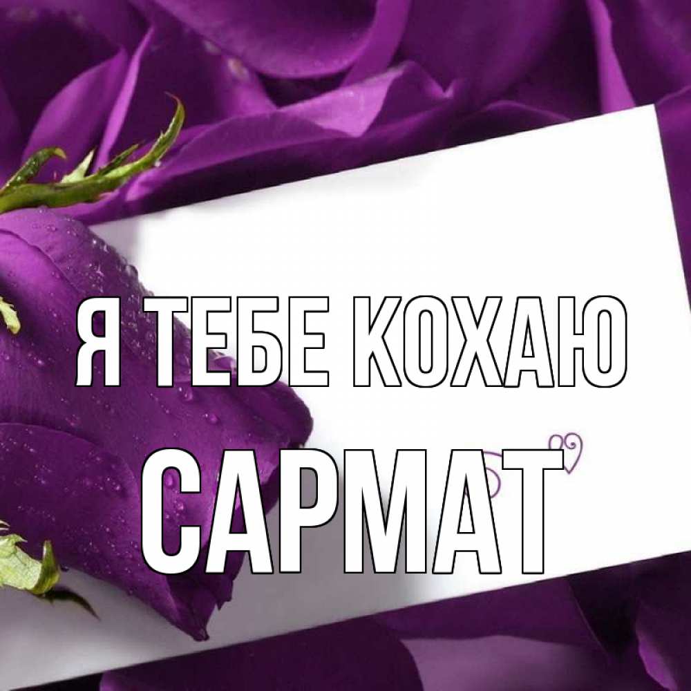 Открытка на каждый день з підписом, Сармат Я тебе кохаю роза Прикольна листівка з побажанням онлайн скачати безкоштовно 