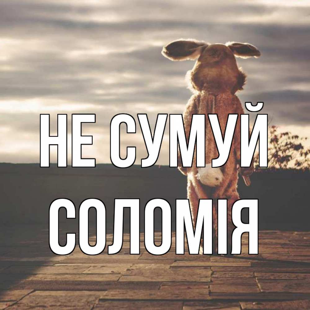 Открытка на каждый день з підписом, Соломія Не сумуй со спины Прикольна листівка з побажанням онлайн скачати безкоштовно 