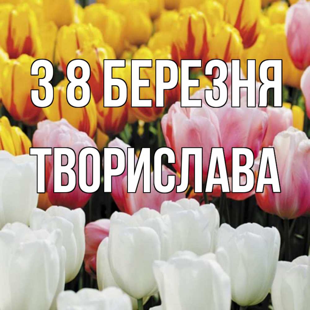Открытка на каждый день з підписом, Творислава З 8 БЕРЕЗНЯ разноцветные цветы Прикольна листівка з побажанням онлайн скачати безкоштовно 