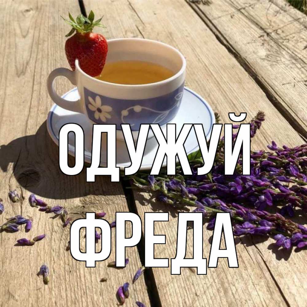 Открытка на каждый день з підписом, Фреда Одужуй чай Прикольна листівка з побажанням онлайн скачати безкоштовно 