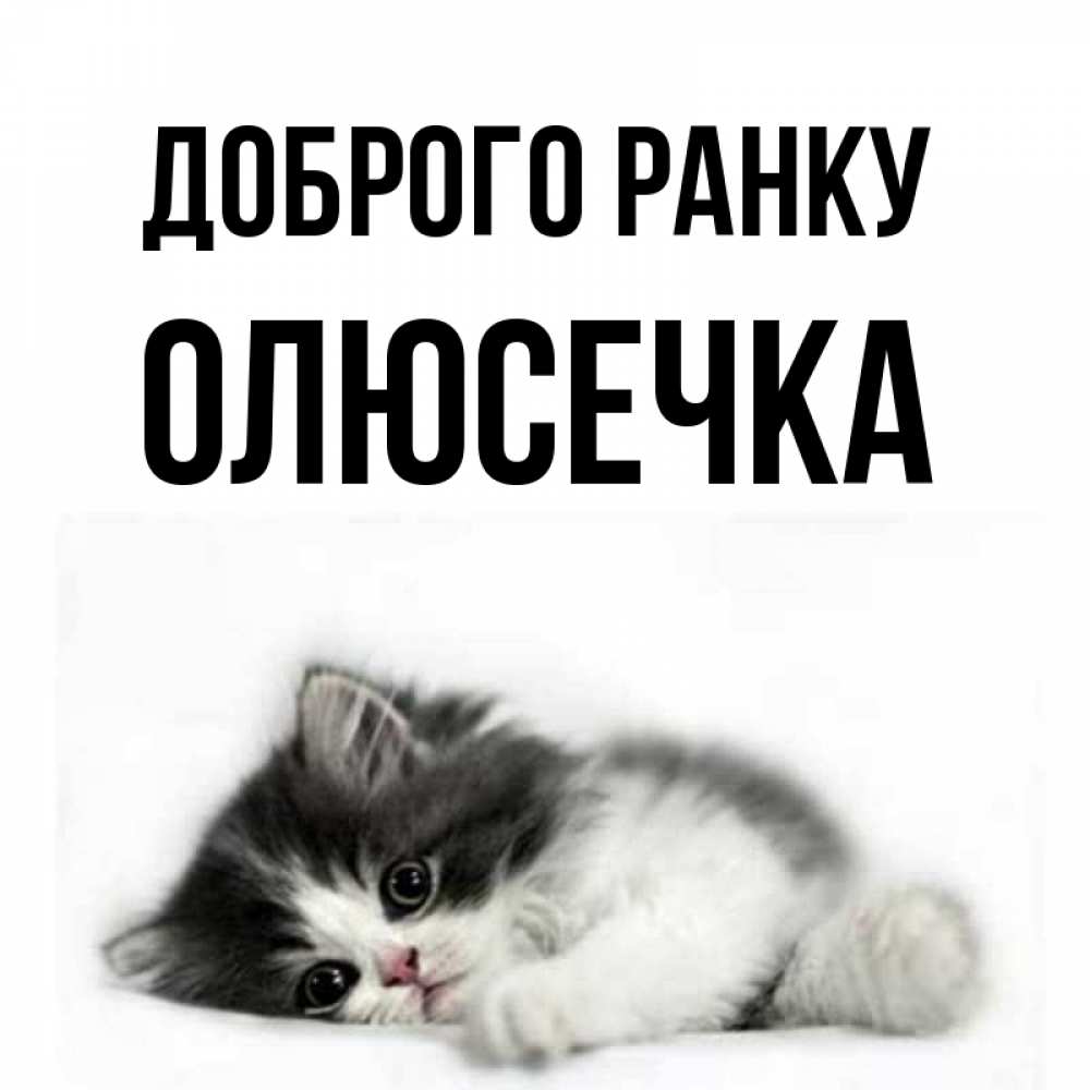 Открытка на каждый день з підписом, Олюсечка Доброго ранку кот лапки Прикольна листівка з побажанням онлайн скачати безкоштовно 