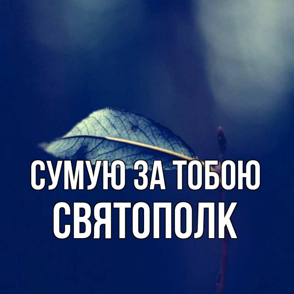 Открытка на каждый день з підписом, Святополк Сумую за тобою одна ветка 1 Прикольна листівка з побажанням онлайн скачати безкоштовно 