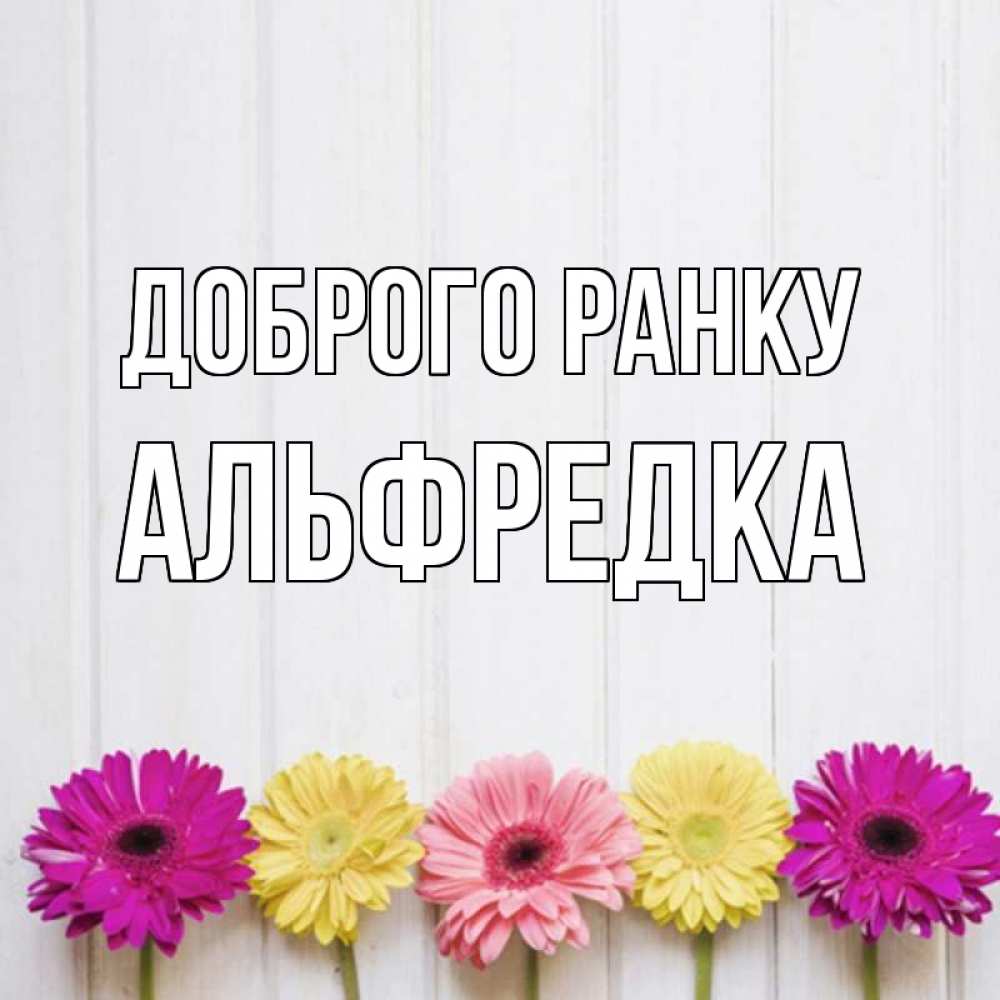 Открытка на каждый день з підписом, Альфредка Доброго ранку красный желтый и розовый цветок Прикольна листівка з побажанням онлайн скачати безкоштовно 