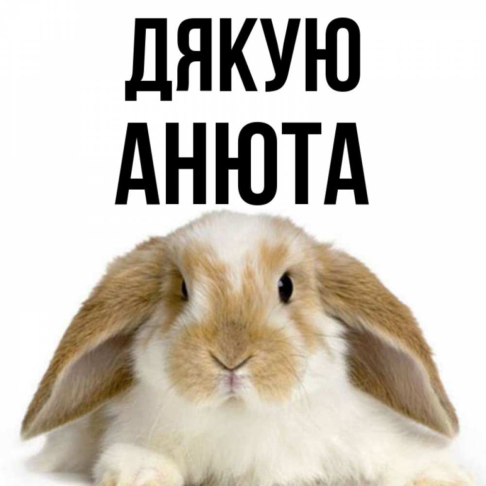 Открытка на каждый день з підписом, Анюта Дякую коричнево белый заяц Прикольна листівка з побажанням онлайн скачати безкоштовно 