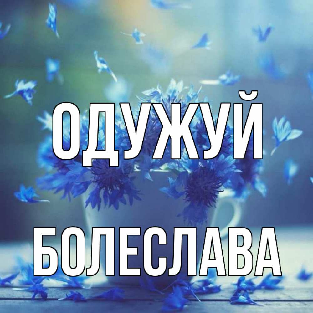 Открытка на каждый день з підписом, Болеслава Одужуй кружка с зельем и цветами Прикольна листівка з побажанням онлайн скачати безкоштовно 