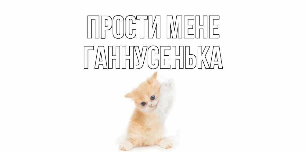 Открытка на каждый день з підписом, Ганнусенька Прости мене кот Прикольна листівка з побажанням онлайн скачати безкоштовно 
