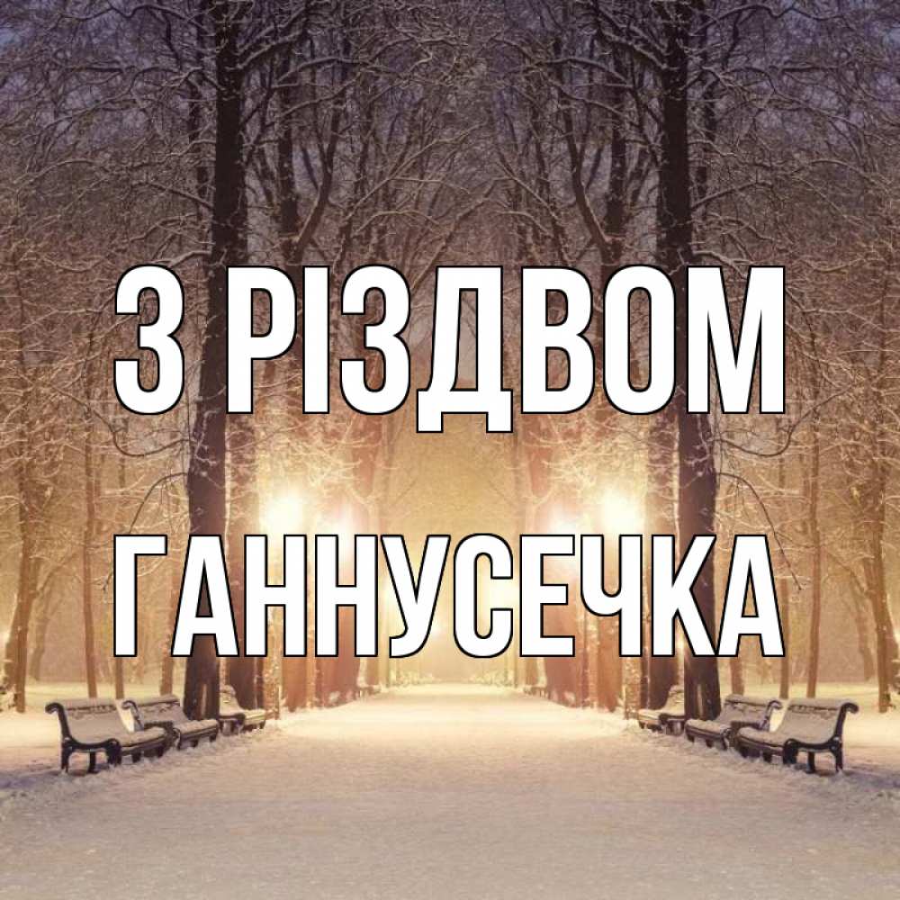 Открытка на каждый день з підписом, Ганнусечка З Різдвом зима, парк, фонарь, лес Прикольна листівка з побажанням онлайн скачати безкоштовно 