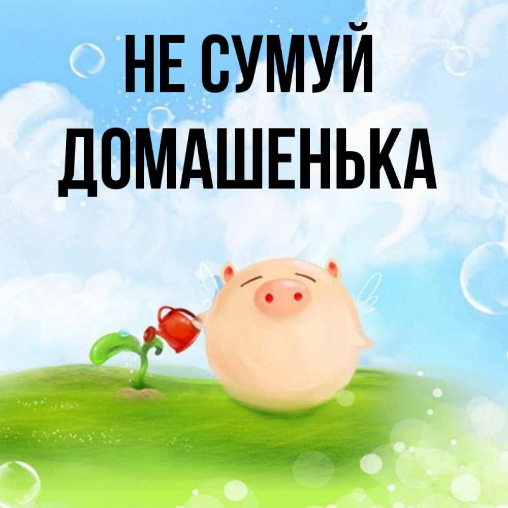 Открытка на каждый день з підписом, Домашенька Не сумуй поливает цветок порося Прикольна листівка з побажанням онлайн скачати безкоштовно 