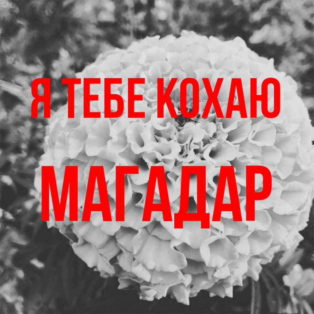 Открытка на каждый день з підписом, Магадар Я тебе кохаю подпись Прикольна листівка з побажанням онлайн скачати безкоштовно 
