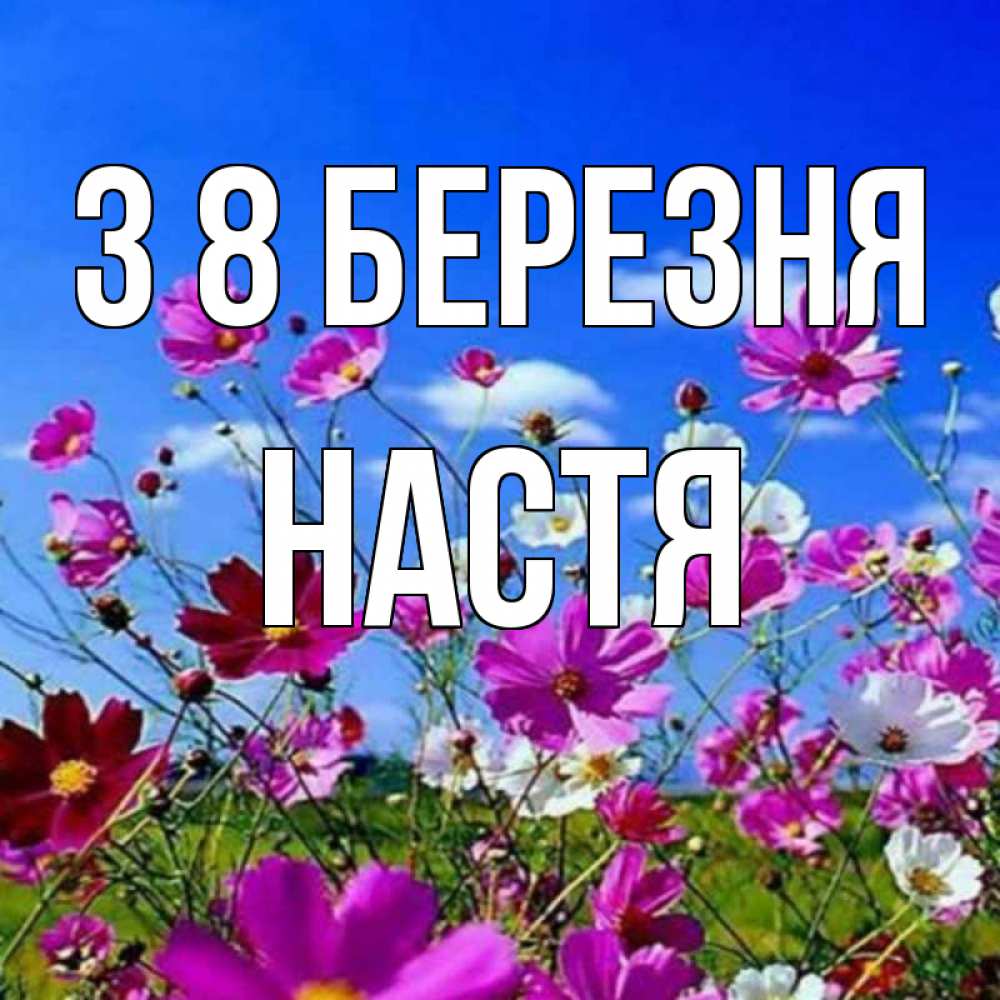 Открытка на каждый день з підписом, Настя З 8 БЕРЕЗНЯ цветы Прикольна листівка з побажанням онлайн скачати безкоштовно 