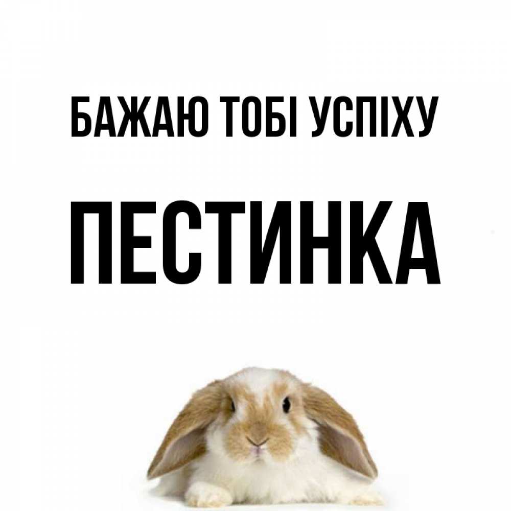 Открытка на каждый день з підписом, Пестинка Бажаю тобі успіху открытки с произвольным текстом который можно вставить в открытку и создать ее самостоятельно бесплатно онлайн Прикольна листівка з побажанням онлайн скачати безкоштовно 