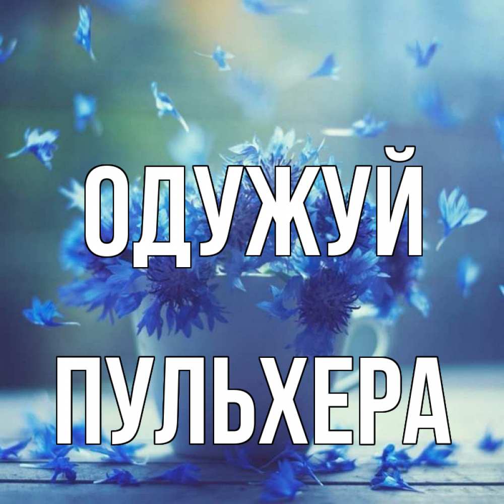 Открытка на каждый день з підписом, Пульхера Одужуй кружка с зельем и цветами Прикольна листівка з побажанням онлайн скачати безкоштовно 