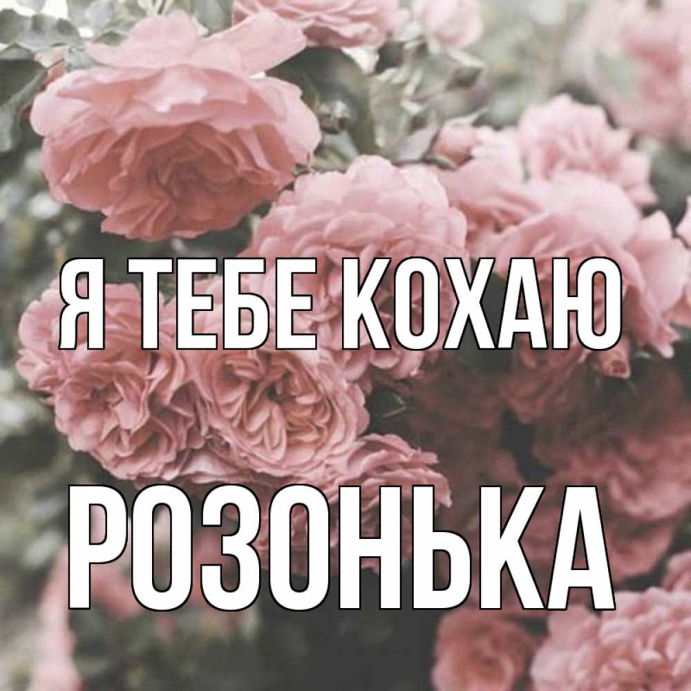 Открытка на каждый день з підписом, Розонька Я тебе кохаю розы 3 Прикольна листівка з побажанням онлайн скачати безкоштовно 