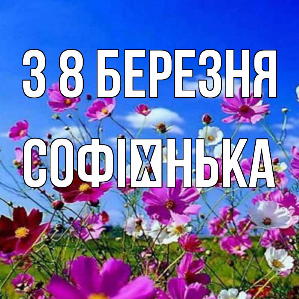 Открытка на каждый день з підписом, Софієнька З 8 БЕРЕЗНЯ цветы Прикольна листівка з побажанням онлайн скачати безкоштовно 