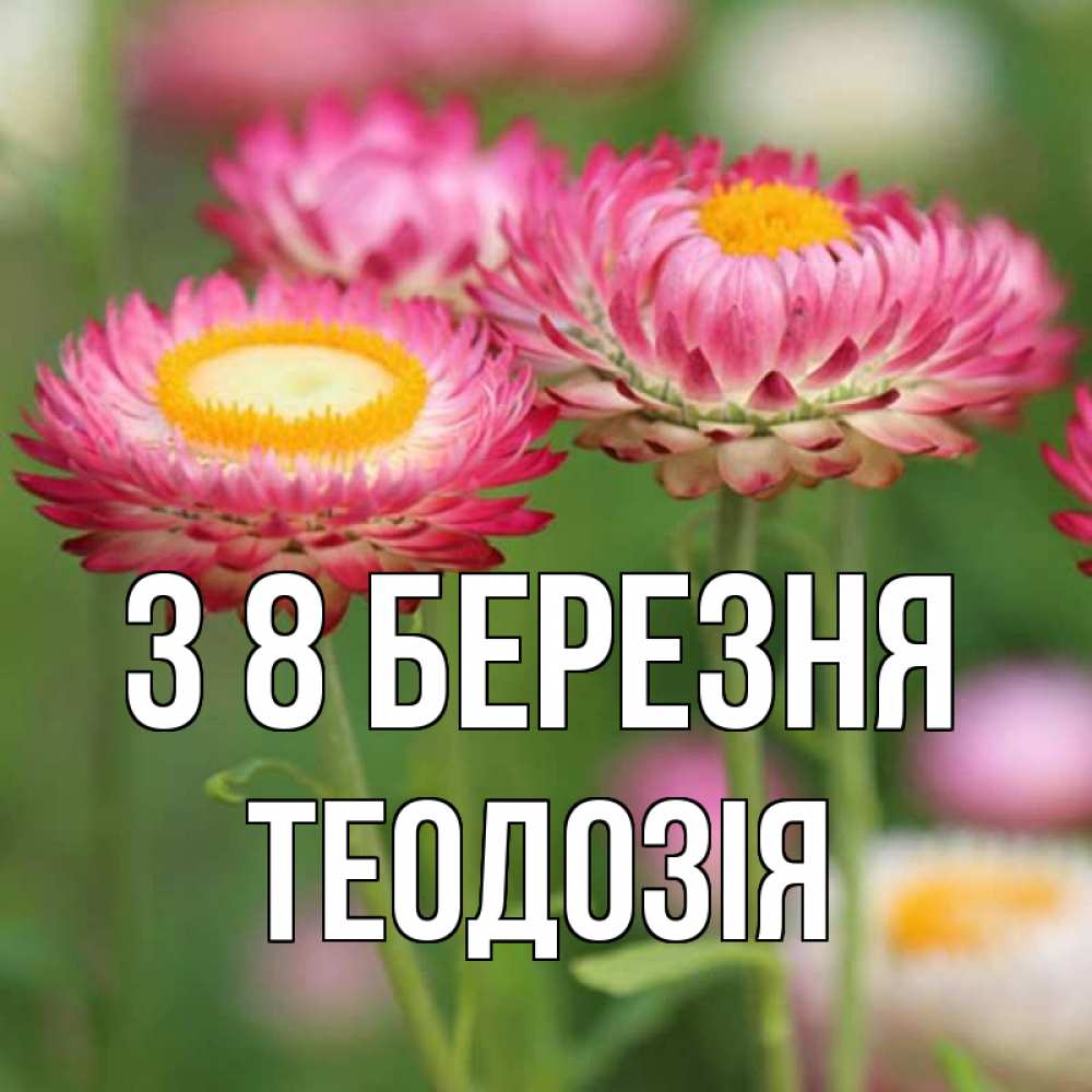 Открытка на каждый день з підписом, Теодозія З 8 БЕРЕЗНЯ подарок на международный женский день Прикольна листівка з побажанням онлайн скачати безкоштовно 