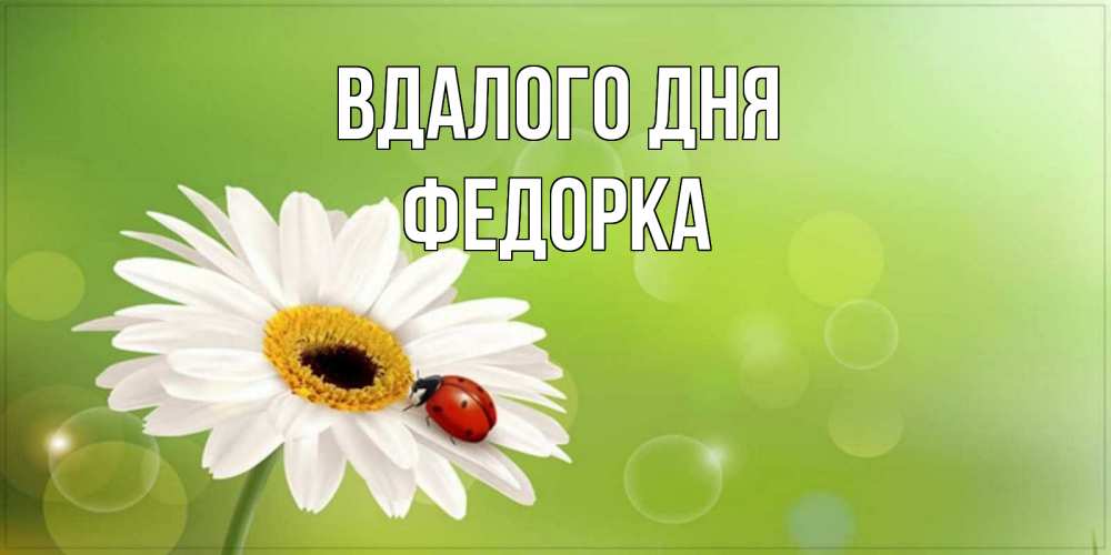 Открытка на каждый день з підписом, Федорка Вдалого дня зеленый фон и ромашка Прикольна листівка з побажанням онлайн скачати безкоштовно 