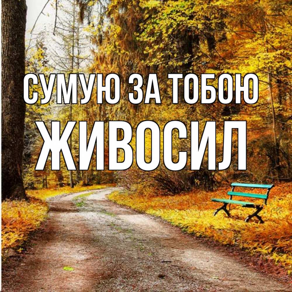 Открытка на каждый день з підписом, Живосил Сумую за тобою зеленая лавочка и осенний лес Прикольна листівка з побажанням онлайн скачати безкоштовно 