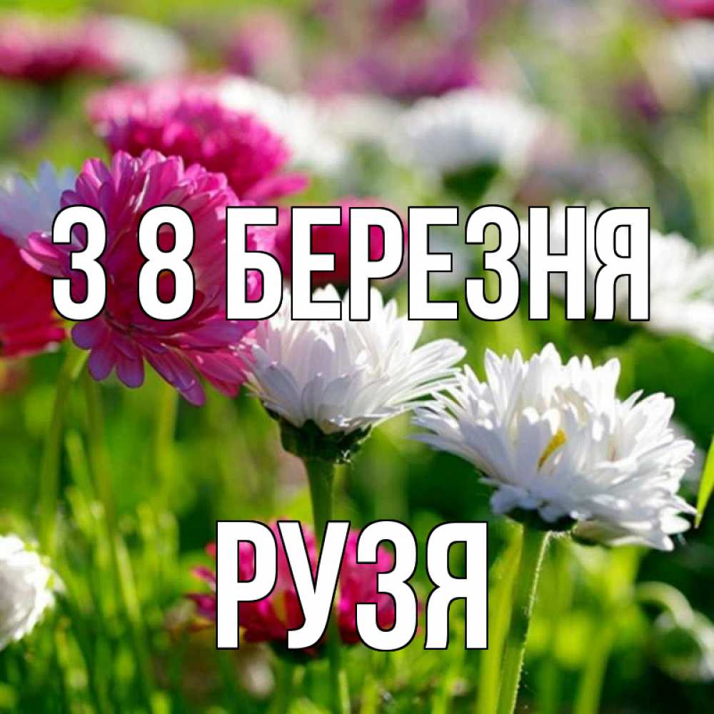 Открытка на каждый день з підписом, Рузя З 8 БЕРЕЗНЯ международный женский день 1 Прикольна листівка з побажанням онлайн скачати безкоштовно 