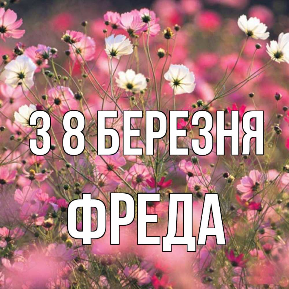 Открытка на каждый день з підписом, Фреда З 8 БЕРЕЗНЯ красиво 1 Прикольна листівка з побажанням онлайн скачати безкоштовно 