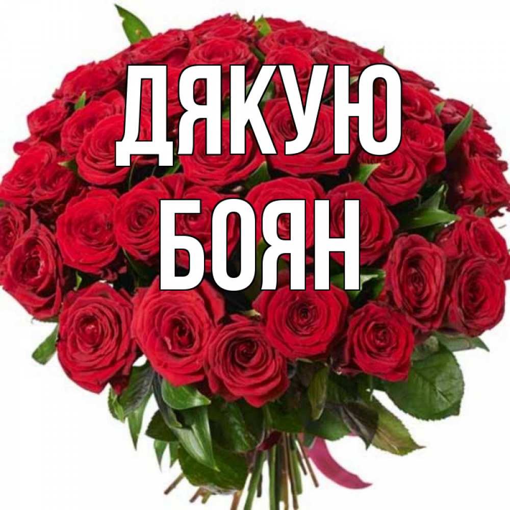 Открытка на каждый день з підписом, Боян Дякую букет красных роз Прикольна листівка з побажанням онлайн скачати безкоштовно 