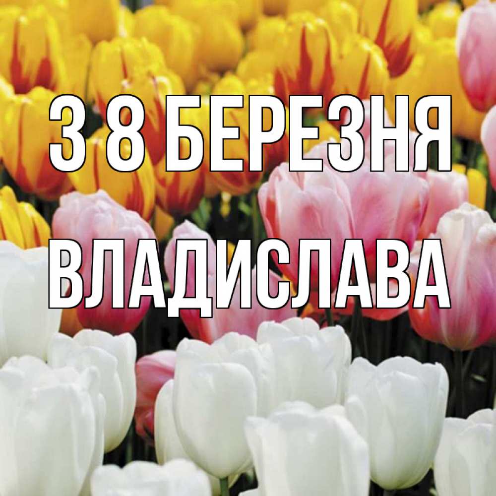 Открытка на каждый день з підписом, Владислава З 8 БЕРЕЗНЯ разноцветные цветы Прикольна листівка з побажанням онлайн скачати безкоштовно 