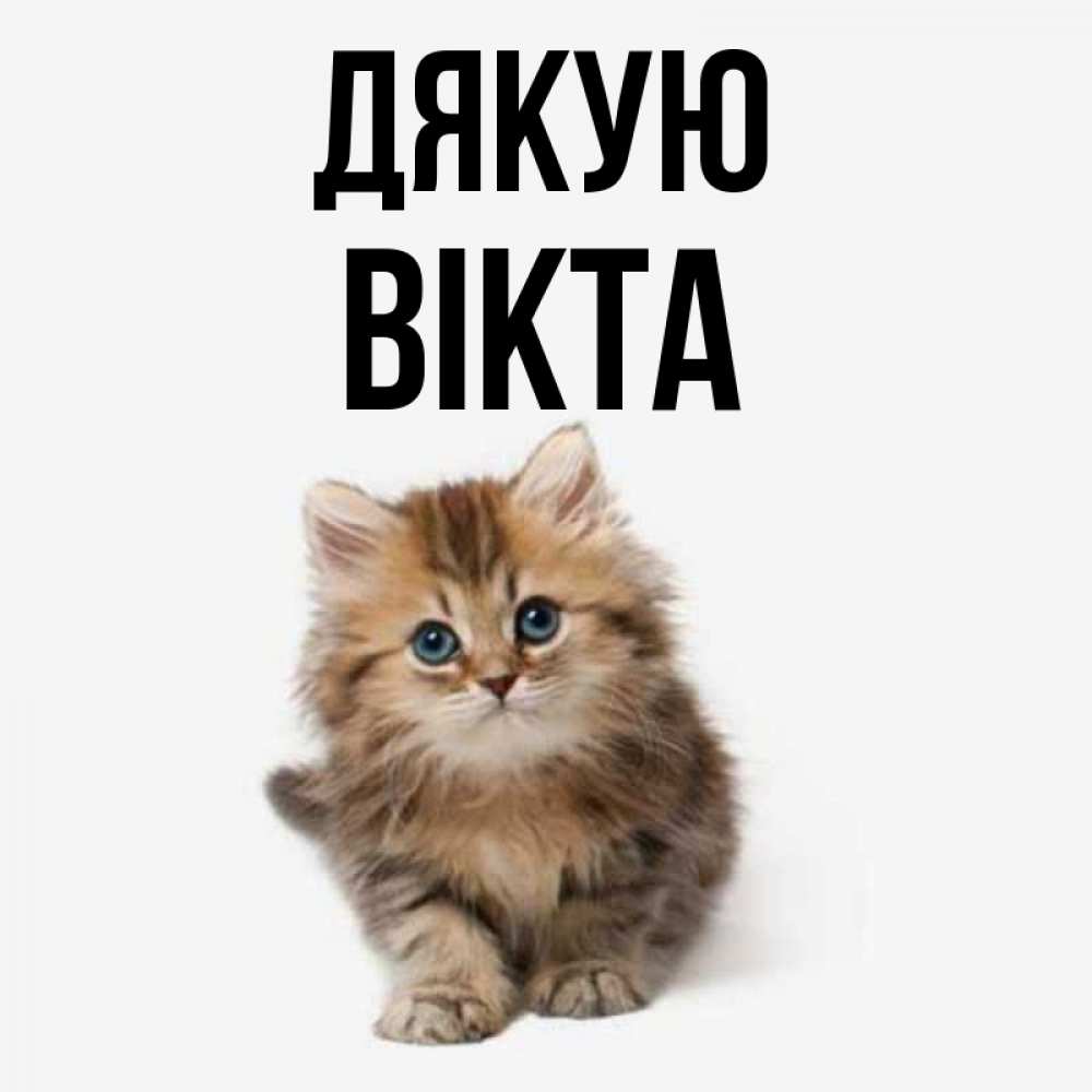 Открытка на каждый день з підписом, Вікта Дякую пушистый котик Прикольна листівка з побажанням онлайн скачати безкоштовно 