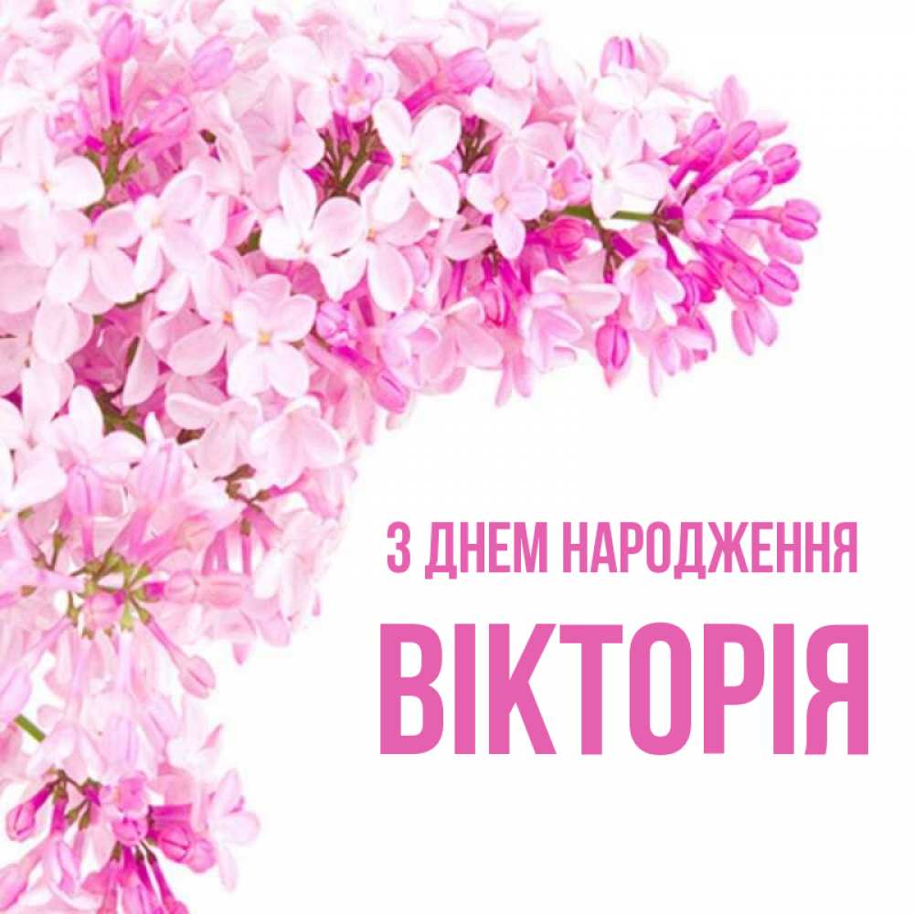 Открытка на каждый день з підписом, Вікторія З Днем народження Сирень на белом фоне Прикольна листівка з побажанням онлайн скачати безкоштовно 