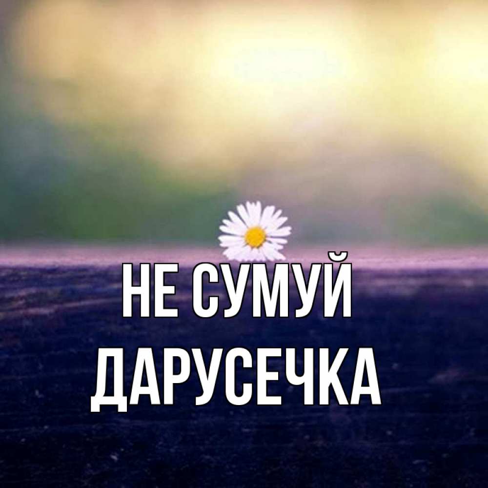 Открытка на каждый день з підписом, Дарусечка Не сумуй красота Прикольна листівка з побажанням онлайн скачати безкоштовно 