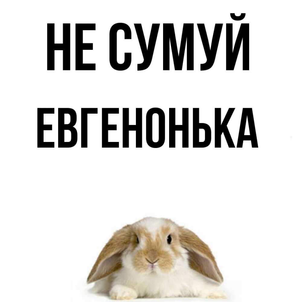 Открытка на каждый день з підписом, Евгенонька Не сумуй коричнево белый заяц с большими ушками Прикольна листівка з побажанням онлайн скачати безкоштовно 