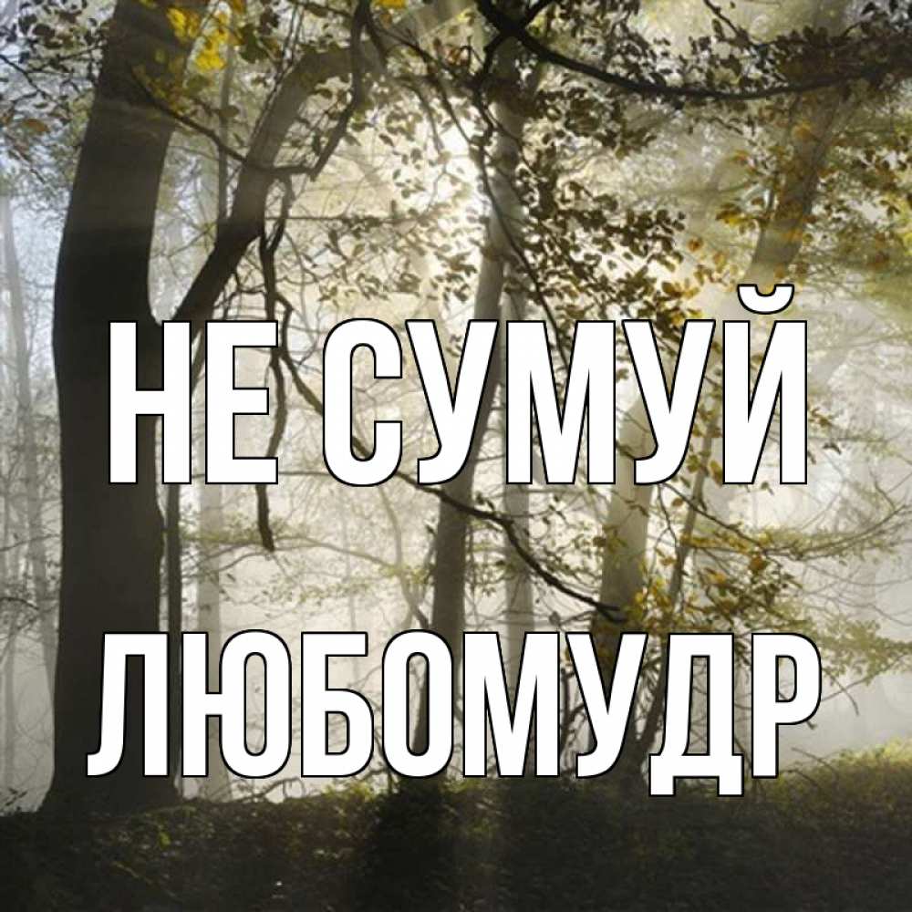 Открытка на каждый день з підписом, Любомудр Не сумуй лес и свет Прикольна листівка з побажанням онлайн скачати безкоштовно 