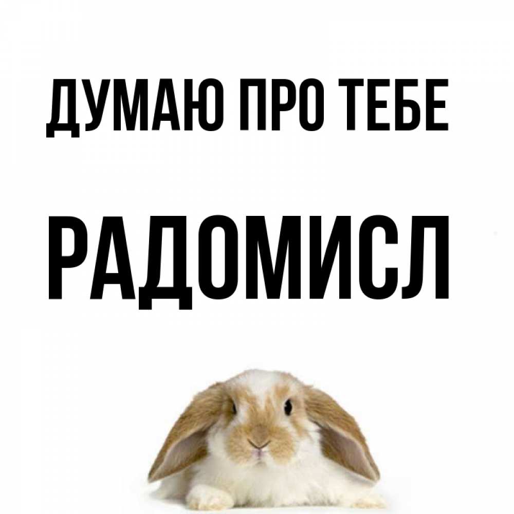 Открытка на каждый день з підписом, Радомисл Думаю про тебе подписать своими руками онлайн Прикольна листівка з побажанням онлайн скачати безкоштовно 